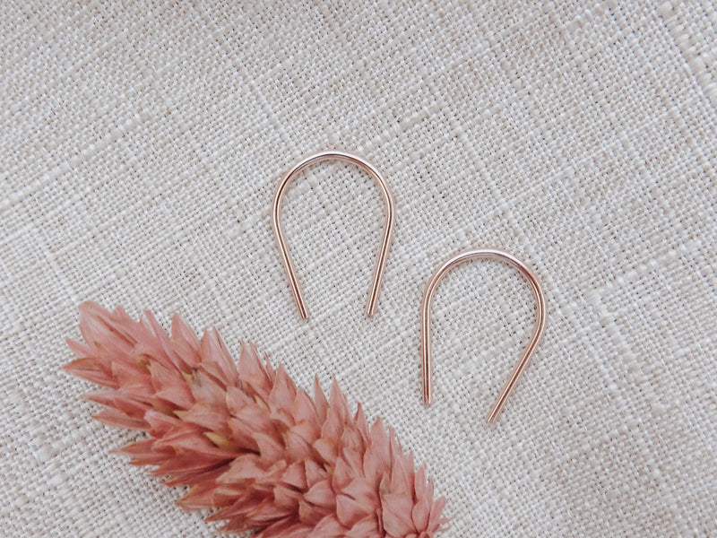 Wire Horseshoe Earrings